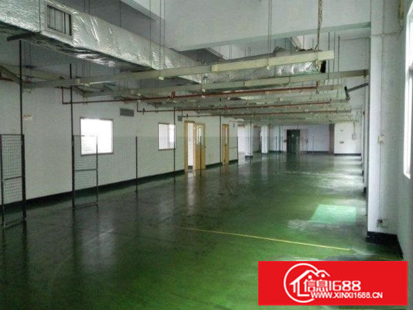 库坑观光路边上新出1000平带精装修