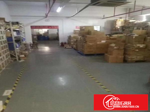横岗六约全新装修620平工业厂房招租（有一部2吨货梯）