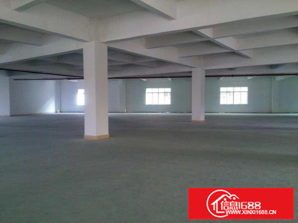 上坑招租独门独院标准厂房3800平方带无尘车间