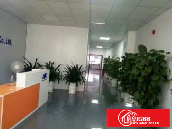 龙岗宝龙高新区新出原房东豪华装修楼上1286平出租