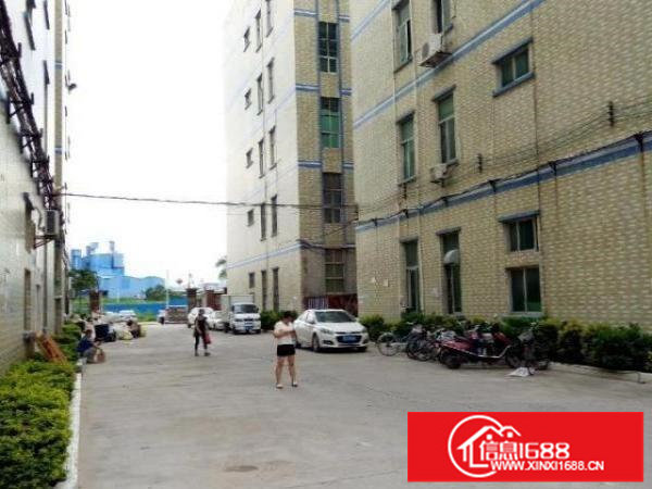 坑梓同富裕工业区楼上整层厂房1280平米出租