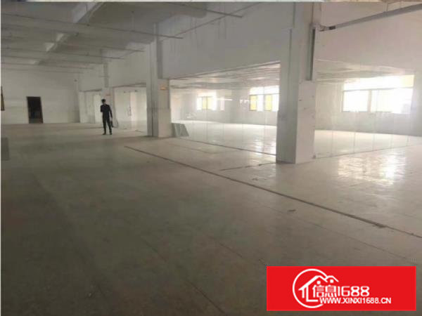 大岭山原房东厂房出租5600方另有6000平方空地免费使用