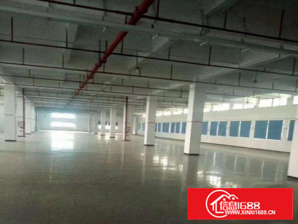 塘厦龙背岭,标准4300可分租,带消防喷淋,租13