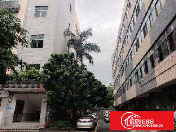 龙岗爱联吉祥地铁站附近新出一楼780平方