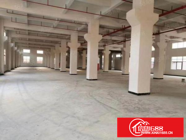 石排标准一楼580方出租，租20元，水电齐全，园区规划整洁