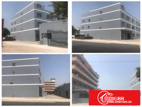 横岗原房东厂房3500平米起出租可分租