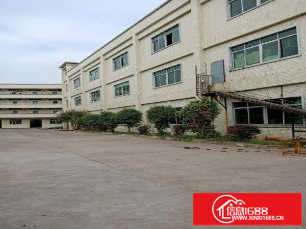 标准独门独院厂房招租