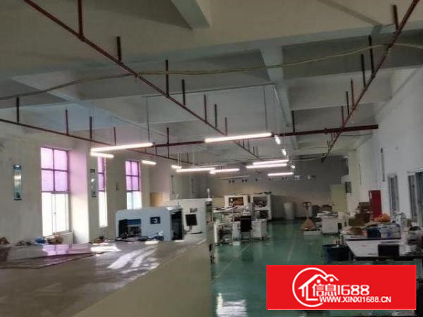 沙井个人转租1000平厂房厂房1000平米