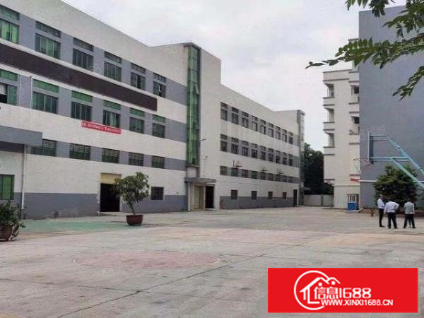 石排镇新出原房东现成装修，水电齐全，价格便宜，可办环坪。