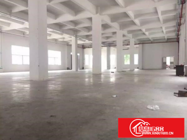 桥光大道附近标准厂房一楼面积700方