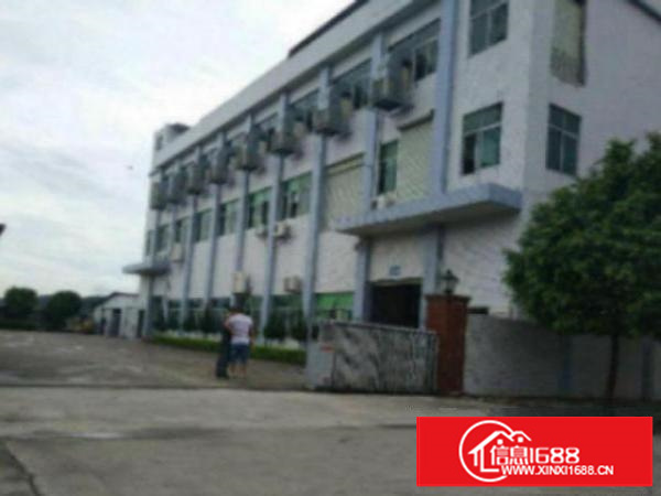 高埗带现成装修标准一楼800或1000平方招租办公楼2层30