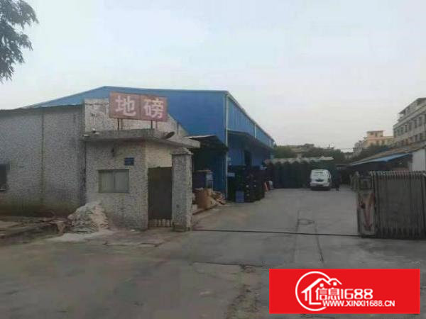 出租桥头单一层2000平方