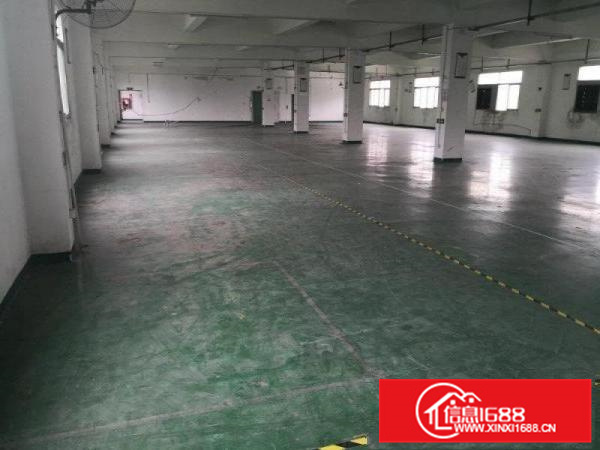 独院厂房6500平米，外观形象高端大气，交通方便