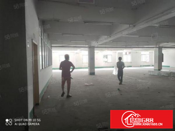 石碣新出原房东独门独院厂房二楼带新办公室可空地大大车可掉头