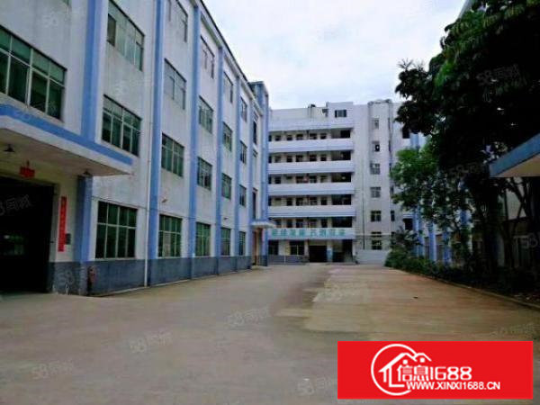 横岗横坪公路独院4层3100平一手房东厂房，可做仓库，可分租