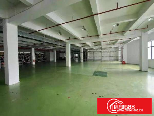 寮步带装修现成办公室