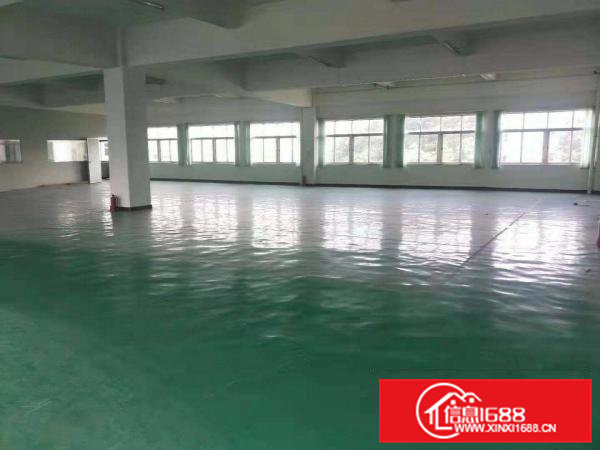 独院工业区厂房低价出租，可分租