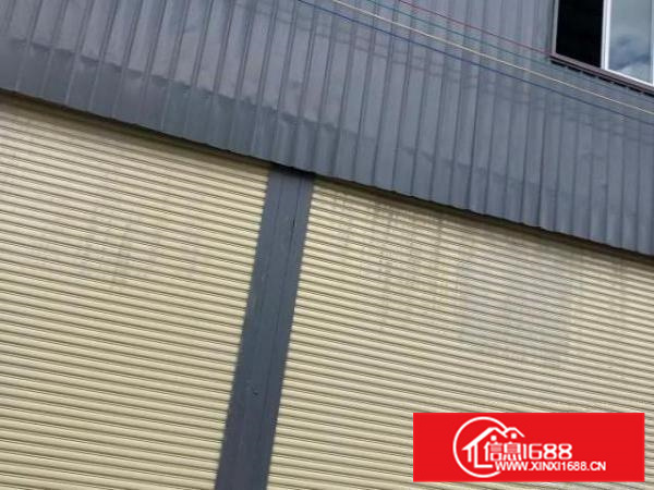 细滘全新厂房（可以做铺位）630平方