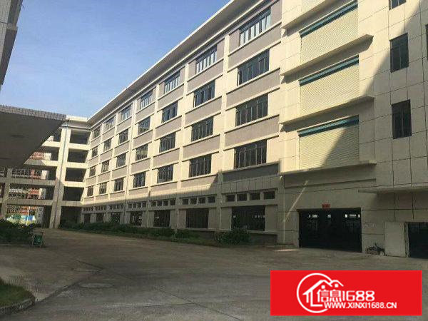 （新盘）清溪三中标准一楼1500平方带行车免费使用