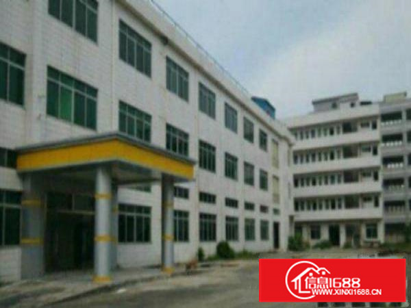 万江1500平米一楼标准厂房出租，水电齐全刚搬走，水电齐全，