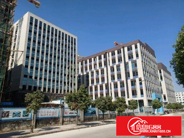 成熟工业区全新标准厂房