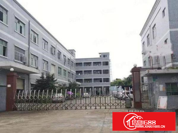 新出独门独院三层标准厂房出租3300平方，空地大，水电齐全