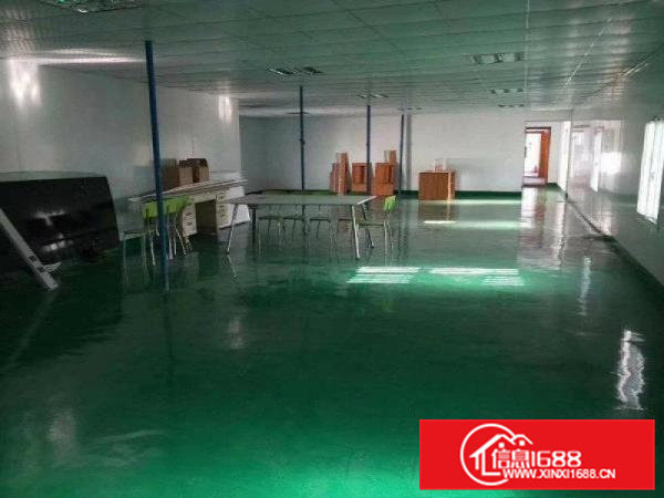 凤岗油甘埔楼上500平方豪装办公室地坪漆吊顶价格低