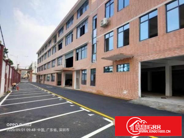 独门独院，坂田后一个。有红本十年合同