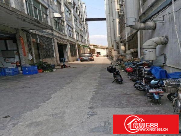 横岗一楼厂房特价出租