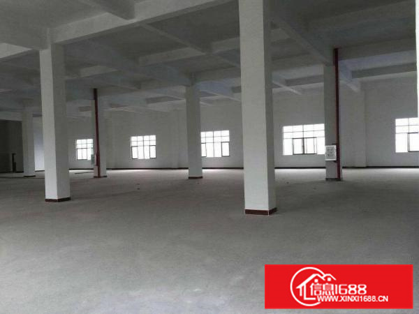 陈江镇原房东独门独院3900平出租大小可分租