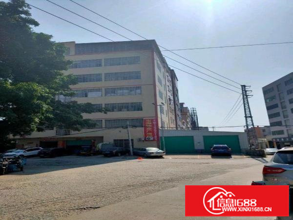 一手厂房田心.大冚.星光.龙见田.都有300起分租大小都有