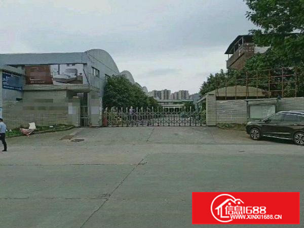 38000平高12米单一层厂房