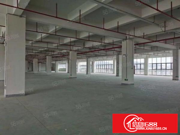 坂田上雪科技园新出原房东一楼4000平标准厂房出租有红本