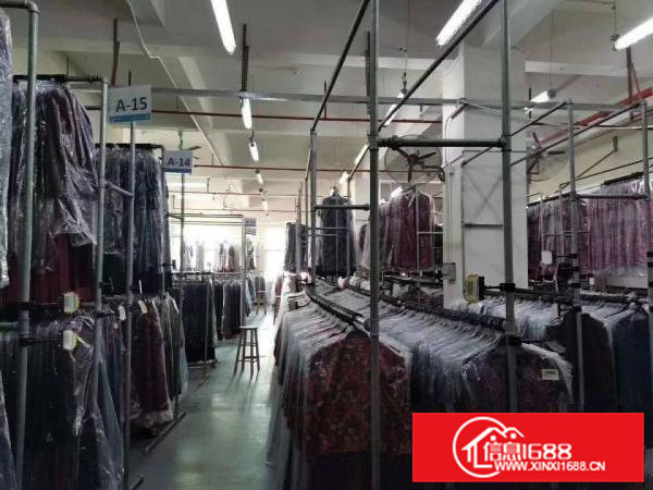 虎门南栅楼上1500平带办公室装修厂房出租！