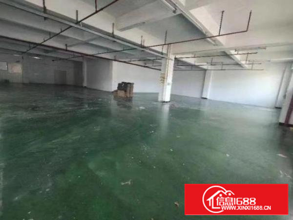 石岩靓房，拎包入住！！！