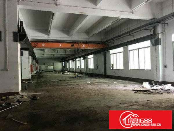 出租布吉长龙新出900标准一楼带牛角行车