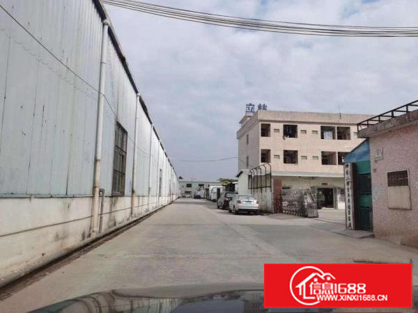 原房东独门独院钢结构厂房