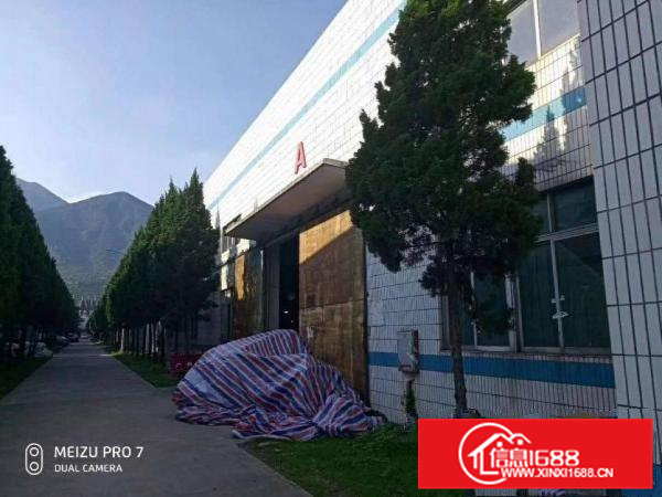 可做污染钢构7000平方，可分租