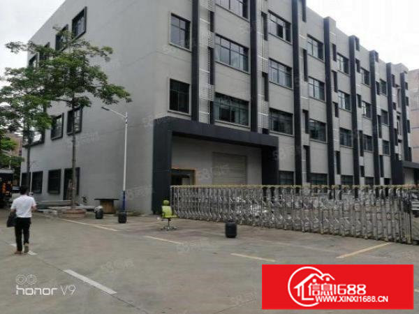 龙华大浪原房东红本独院厂房出租6580平方实际面积出租