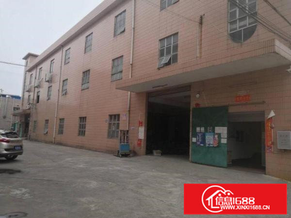 地坪漆精装修一二楼各1300平，大朗新出标准独院厂房，可分租