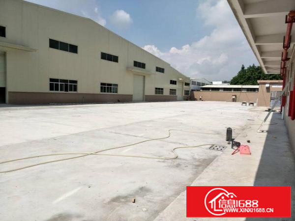 独门独院单一层厂房出租共10000方，