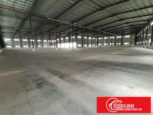 大岭山国道旁新出10000平物流仓库厂房，可分租