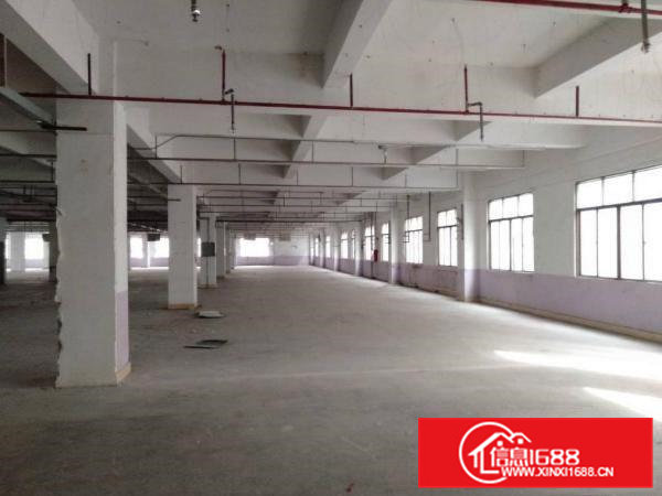 虎门白沙，水电齐全带消防喷淋高6米，环境优美发财好地方