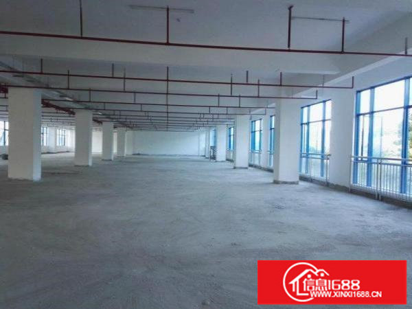 坪山大工业区一楼1200平米红本6米高出租