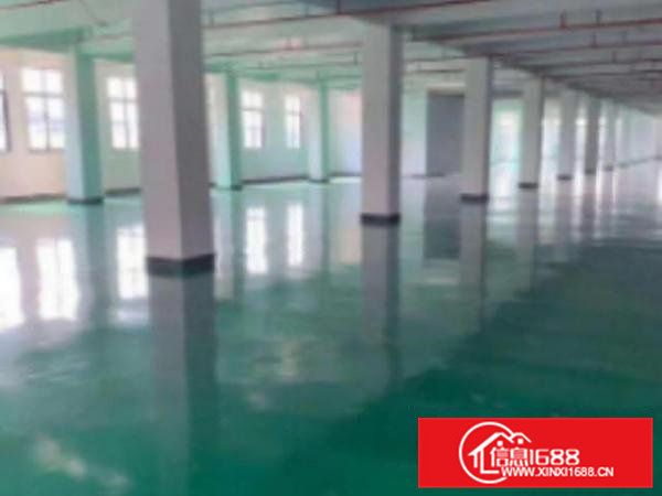 高埗二楼带精装修900平方米，带2吨货梯，水电齐全