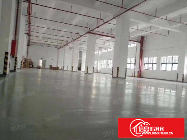 证件齐全，带环评横沥镇新出独院标准厂房1000平方出租