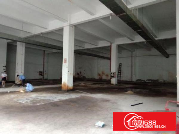 沙井共和原房东无公摊一楼1950平高六米红本厂房出租可分租