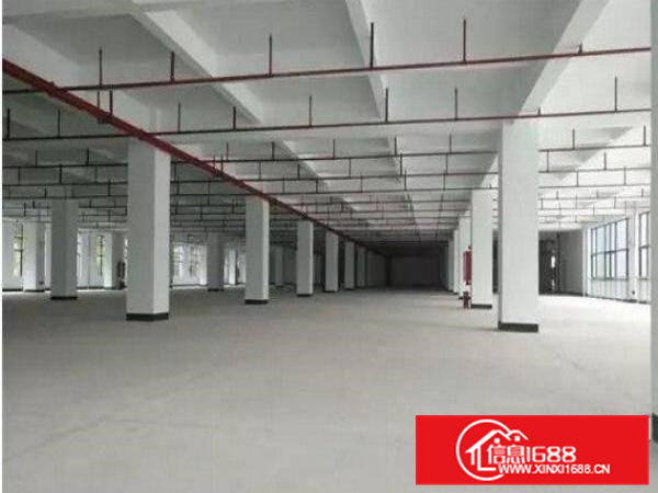 清溪厂房标准一楼1500方环境优美火热招租