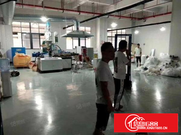 塘厦莲湖新出标准厂房一楼510平带装修无公摊原房东出租