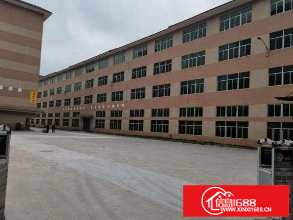 横岗楼上2000平精装厂房出租可分租